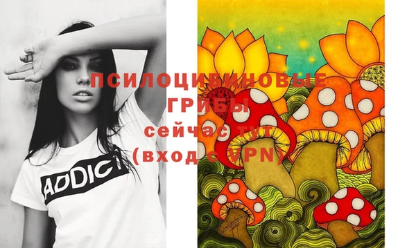 таблы Магас