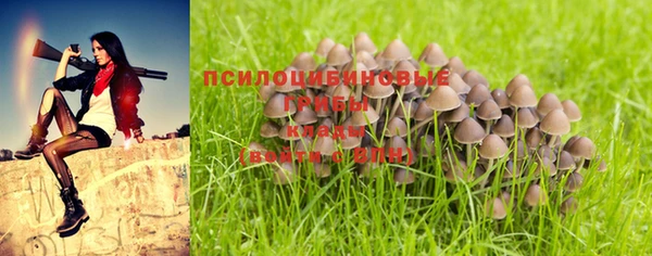 таблы Магас