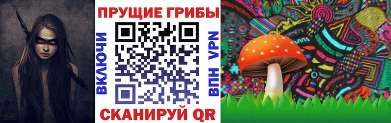 Псилоцибиновые грибы GOLDEN TEACHER  Аткарск 